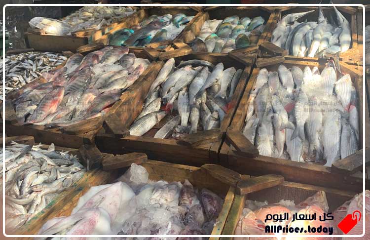 أسعار السمك اليوم بسوق العبور