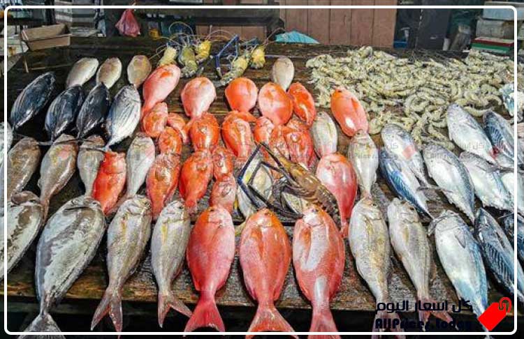 سعر سمك التونة اليوم