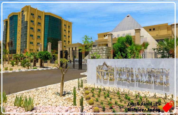مصاريف جامعة النهضة في مصر 2023 - 2024