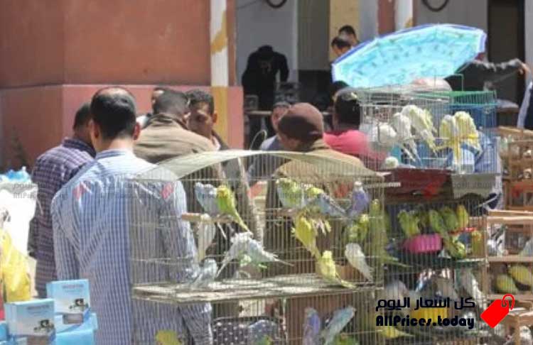 سوق ميدان السيدة عائشة